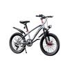 FG FLYING PIGEON Kids Mountain Bike