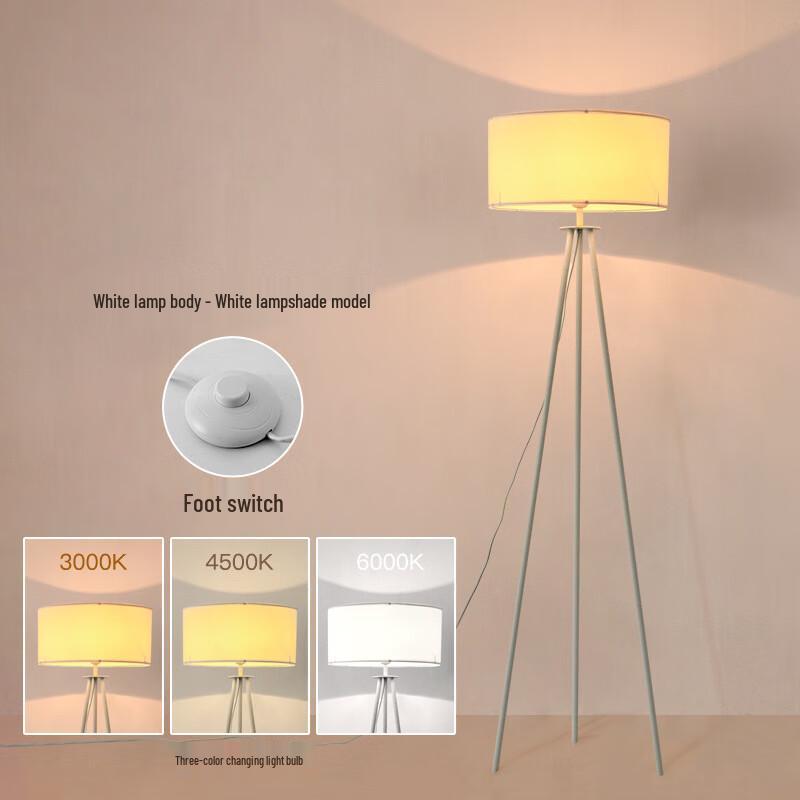 Modern LED Floor Lamp with 3-Color Dimming