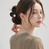 Karra Claire Ribbon Hair Clip A6m0964