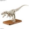 BANDAI SPIRITS (Bandai Spirits) Planosaurus Tyrannosaurus Color Coded Plastic Model