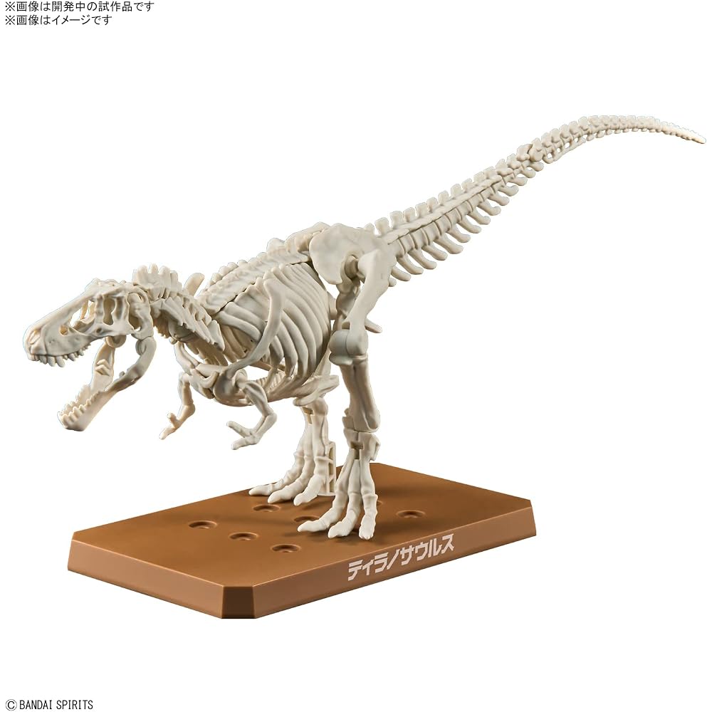 BANDAI SPIRITS (Bandai Spirits) Planosaurus Tyrannosaurus Color Coded Plastic Model