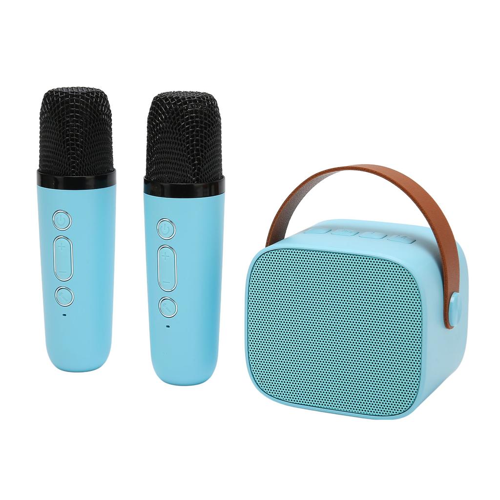 Karaoke Machine Multifunction Stereo Sound Portable Bluetooth Speaker with 2 Wireless Microphones
