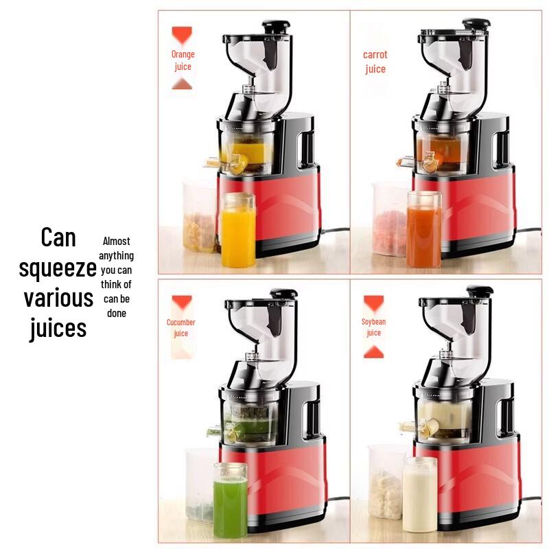 ZISIZ Cold Press Juicer