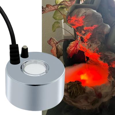 Pești și animale marine – Întreținerea acvariului