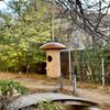 A84X-2Pcs Mushroom Shape Yard Outdoor Decoration Sparrow Cage Swallow Bird House Tree Hanging Feeder Bird Nests Wooden