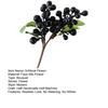 Artificial Flower High Simulation Texture No Maintenance Purple Blue Berries Branch Natural Look Fake Berries