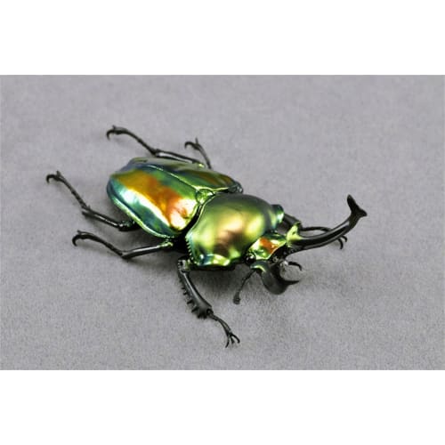 BACALYSO | Nirvana Rainbow Stag Beetle Figure, Lucanidae, 7.3cm, Includes Box, Refrigerator Attachment, Magnetic Ornament, Realistic Adult, Illustrate
