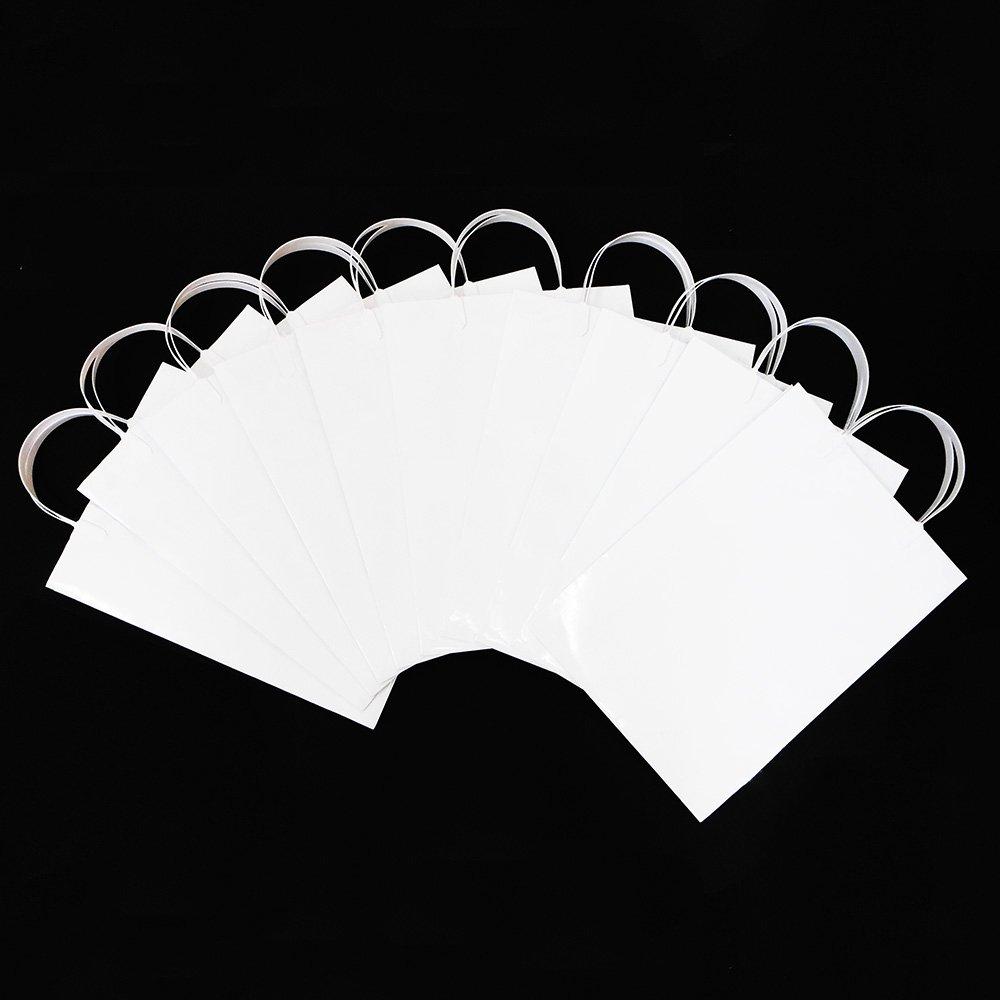 Ehime Paper Co., Ltd. Laminated Gift Bags, A4 Size, White, 10-Pack (PPA4-WH-10P)