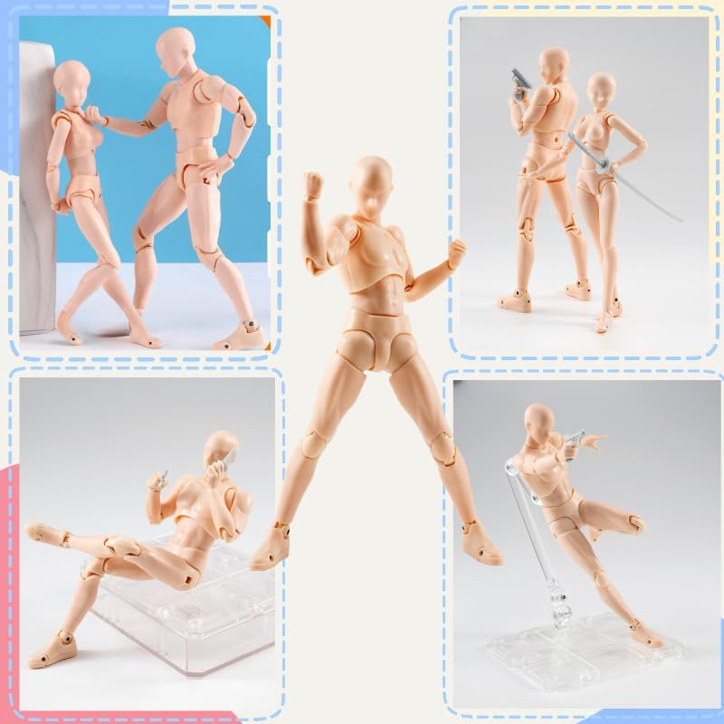 Drawing Male Female Model with Stand by Professional Manga for Manga and Muscle Drawing Sketch Drawing Art Educational Male Doll, 30-Jointed, &
