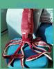 High-quality 25" Giant Marine Squid Plush Toy Realistic Squid Stuffed Animal Gift