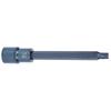 Screwdriver Socket Star High Accuracy Alloy Steel Blueing Chamfer Hardware Tool 12x150xT45