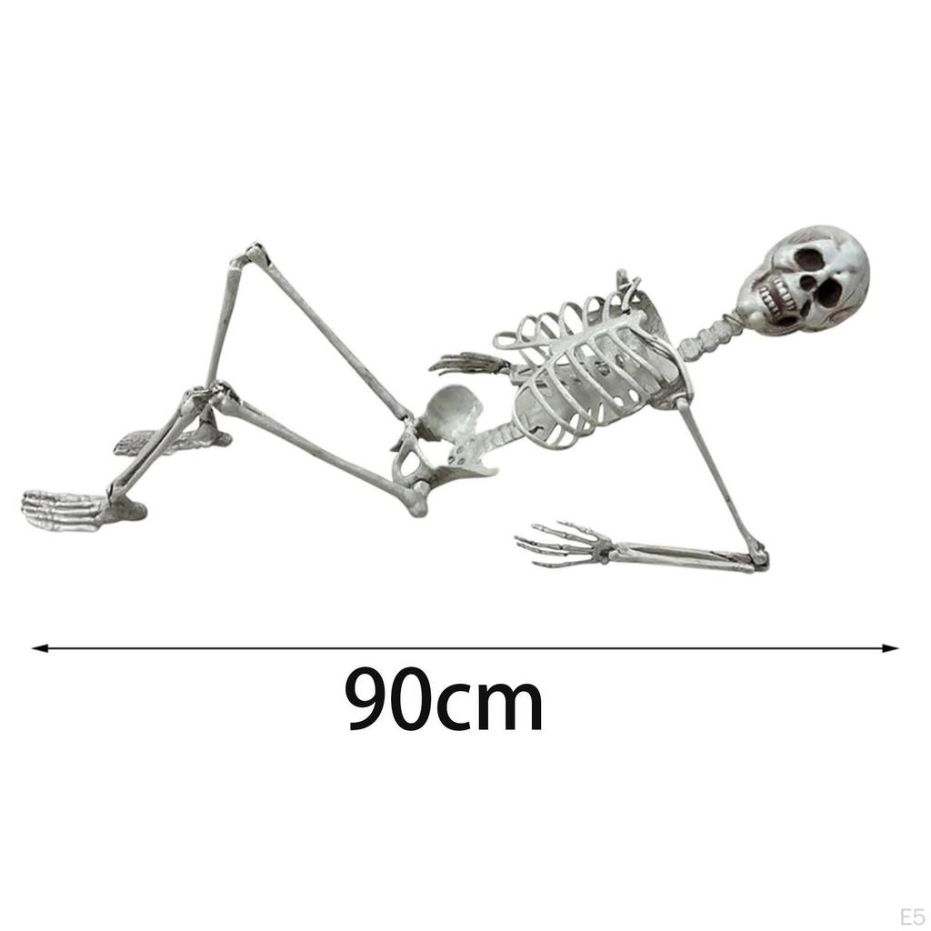 Halloween Skeleton Full Body Posable Joints Decor Durable Model Scary Skeletons