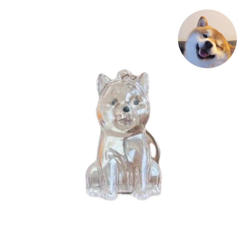 

Милый брелок для хранения шерсти собаки, прозрачная капсула для хранения шерсти питомца, подвеска-мешочек для сувенирной коллекции, подарок, мемориальное украшение