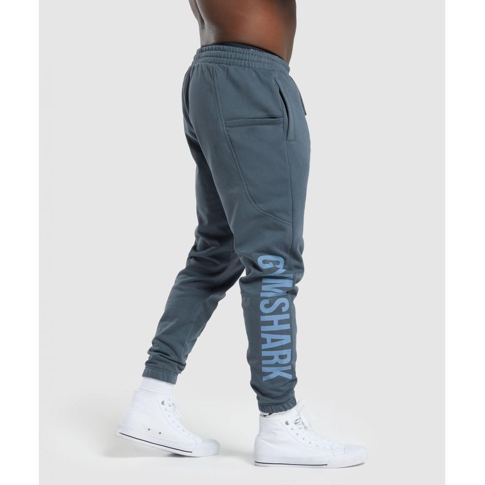 

Джоггеры GYMSHARK Power Titanium Blue A6A6B UCMQ