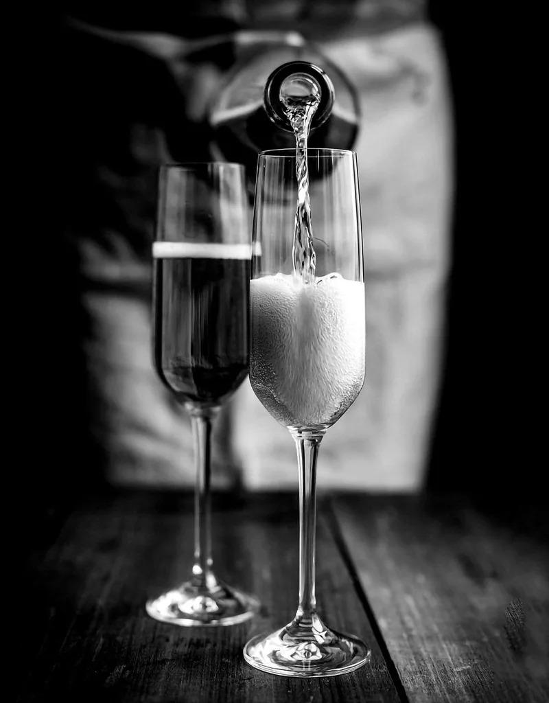 Modern Black White Fashion Women Doberman Spaniel Champagne Luxury Poster Canvas Paintings Wall Art Pictures Home Decor