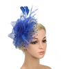 Wedding Fascinator Hat Mesh Flower Tea Party Headband Vintage Alice Headband Clip  for Women Girls