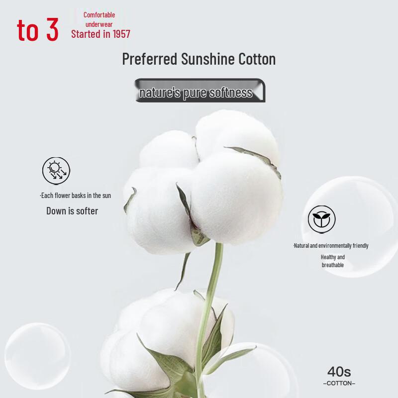 Hodo Men's 40S Cotton-Spandex Striped Boxer Briefs 3-Pack