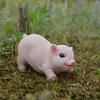 Animal Garden Statue, Cute Pig Funny Outdoor Sculpture, Resin Lawn Ornaments Decor, Indoor OutdoorFigurines For Garden Lawn
