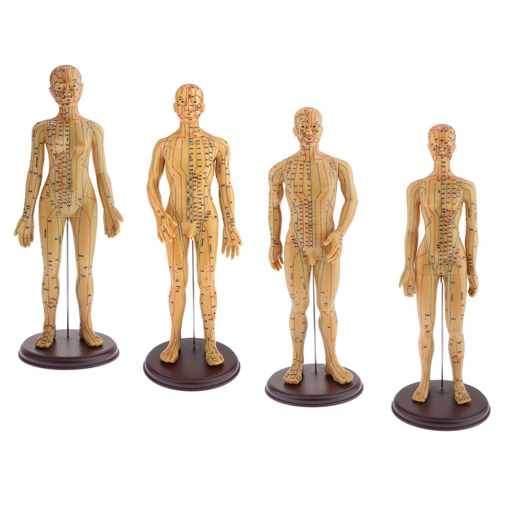 Figure, Male / Full Body