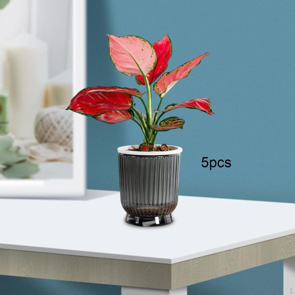 5 Stück Selbstbewässernde Pflanzgefäße Blume Mode Robust Tragbar Pflanzgefäße Zimmerpflanzen Outdoor-Pflanzen