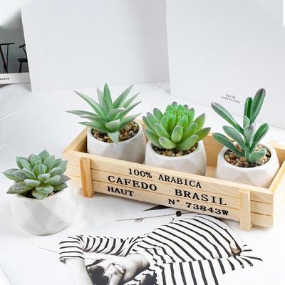 Bonsai Artificiale Succulente Verde Nordico - Decorazione Floreale in Seta da Interno per Scrivanie