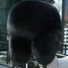 Unisex Real Fox and Raccoon Fur Lei Feng Winter Hat
