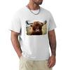 Highland Cattle Tshirt Heavy Duty Casual Work Tee