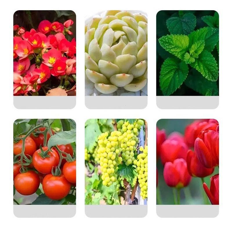 Posilovač sazenic, Hnojivo pro růst kořenů, Prášek pro stimulaci kořenů zeleniny, Přesazování rostlin a květin, Tvorba kořenů řízků