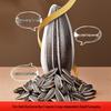 Qiaqia Flavored Sunflower Seeds