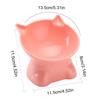 Tilted Cat Food Bowl Elevated Cat Bowl Ergonomic Cat Food Dish Anti Vomiting Raised Cat Food Bowl With Tilted Edge