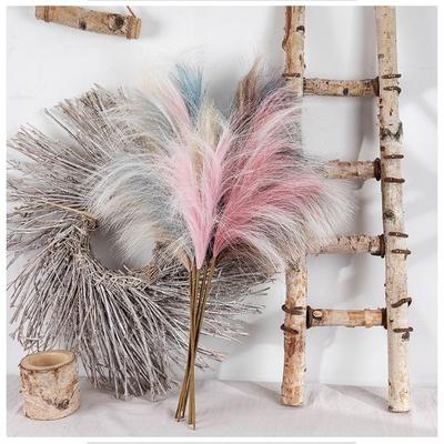 Decorative Reed Pampas 1pcs Artificial Flower Living Room Decoration Fake Flowers Green Plants Wedding Crafts Shooting Props