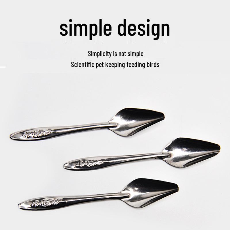 Stainless Steel Bird Feeding Spoon for Parrots, Cockatiels, Budgies, and Baby Birds.