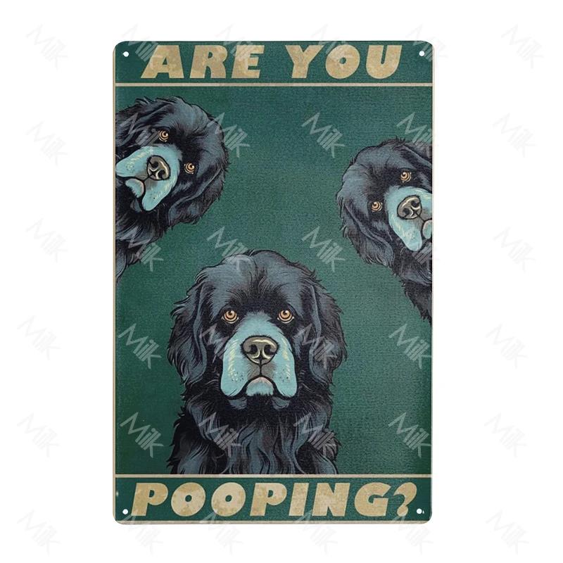 Metal Poster Newfoundland Dog Tin Sign Plate Retro Decor Cafe Home Pet Shop Bedroom Beach Vintage Home Decor Wall Art Plaque