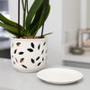 WTEMPO Classic White Ceramic Orchid Planter Pot Irregular Shape Polished Finish Drainage Hole Indoor & Outdoor Bonsai Pot for Home Decorative Pot