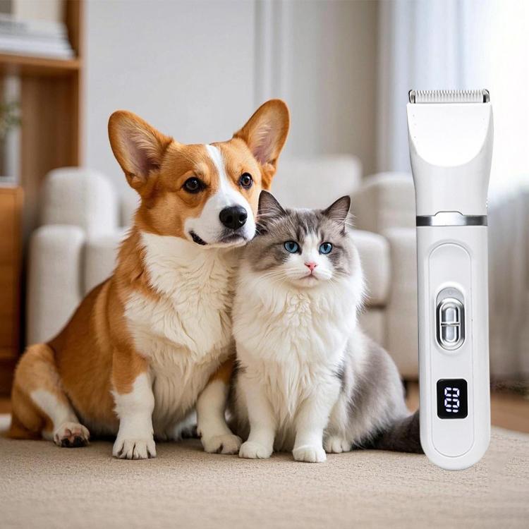 Factory Direct Household Pet Grooming Clipper with 4 Replaceable Heads for Body Paw Ear Nail Cutting Bulk Supply