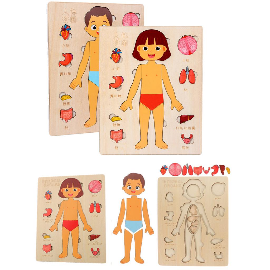 Parts Montessori Puzzles Busy Board Human Body Teaching Learning Body For Early Education Games Toddlers Quiet Books Children