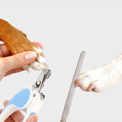 [Haustier] Hundekrallenpflegeset