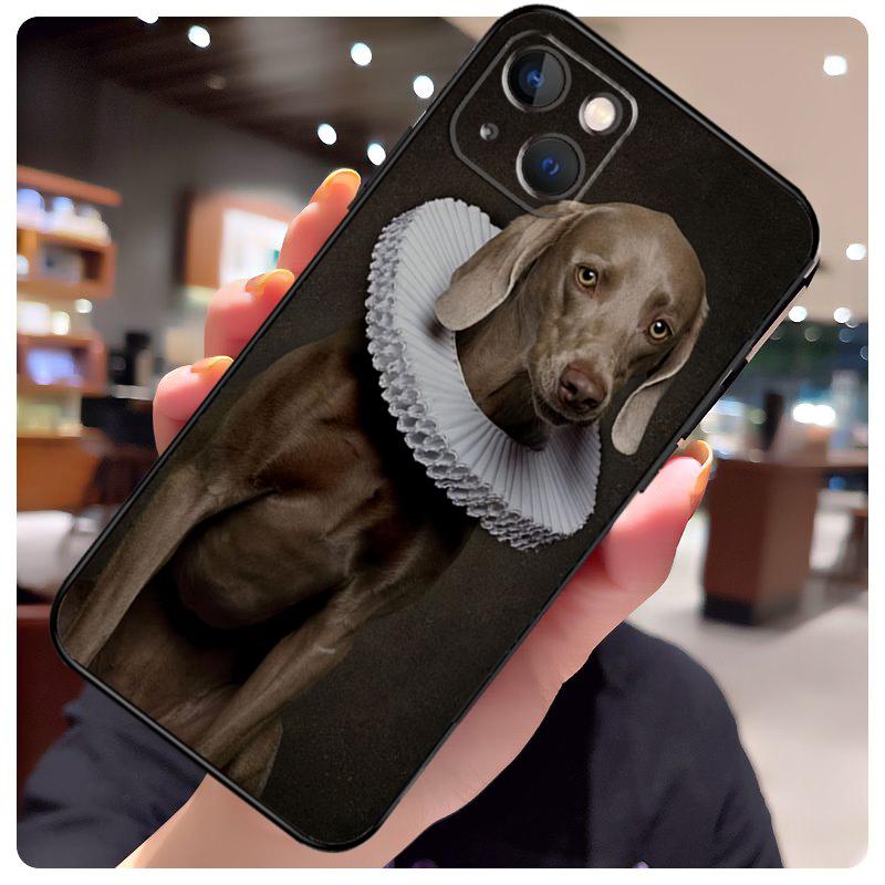 Renaissance Art Painting Case For iPhone 17 Pro Max 15 14 13 11 12 16 Pro Max mini 15 16 Plus 16e 17 Air Phone Cover