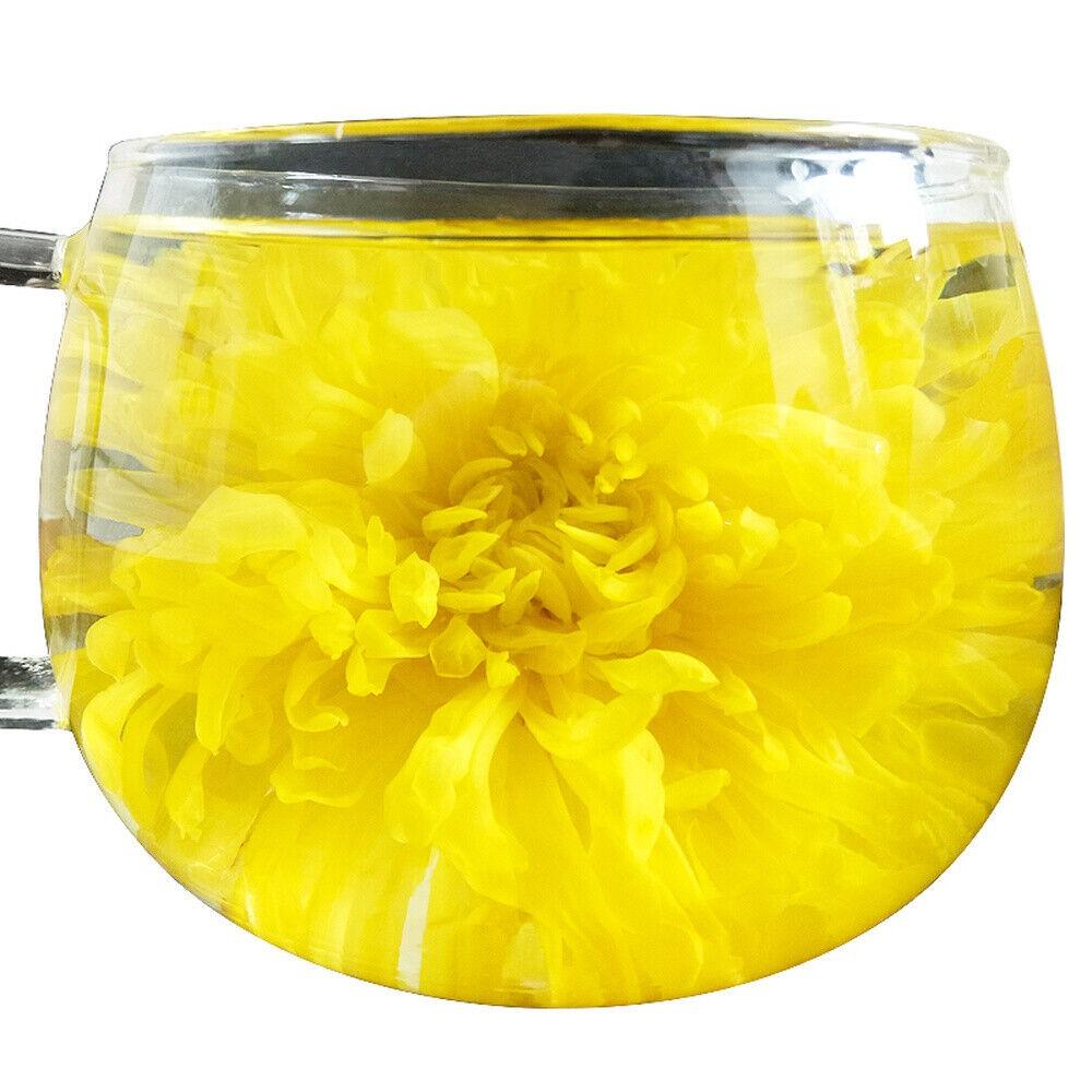 100pcs Kaiser Chrysanthemum Tea Bags Premium Golden Ju Hua Floral Herbal Tea Rich Antioxidants Support Wellness Relaxation Gift for Tea Lovers