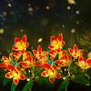 Solar 7 Orchid Lawn Lights Outdoor Decorative Yard Highlight Garden Corridor Ground Insert Lawn Lights Outdoor Solar Lights