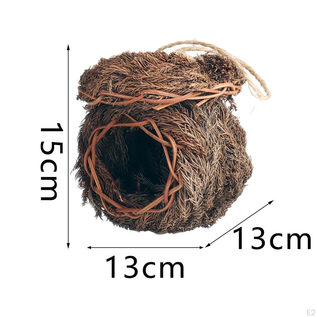 Miniature Parrot Egg Figurine Fairy Garden Decoration Bonsai Modern for Office Patio Outside Outdoor