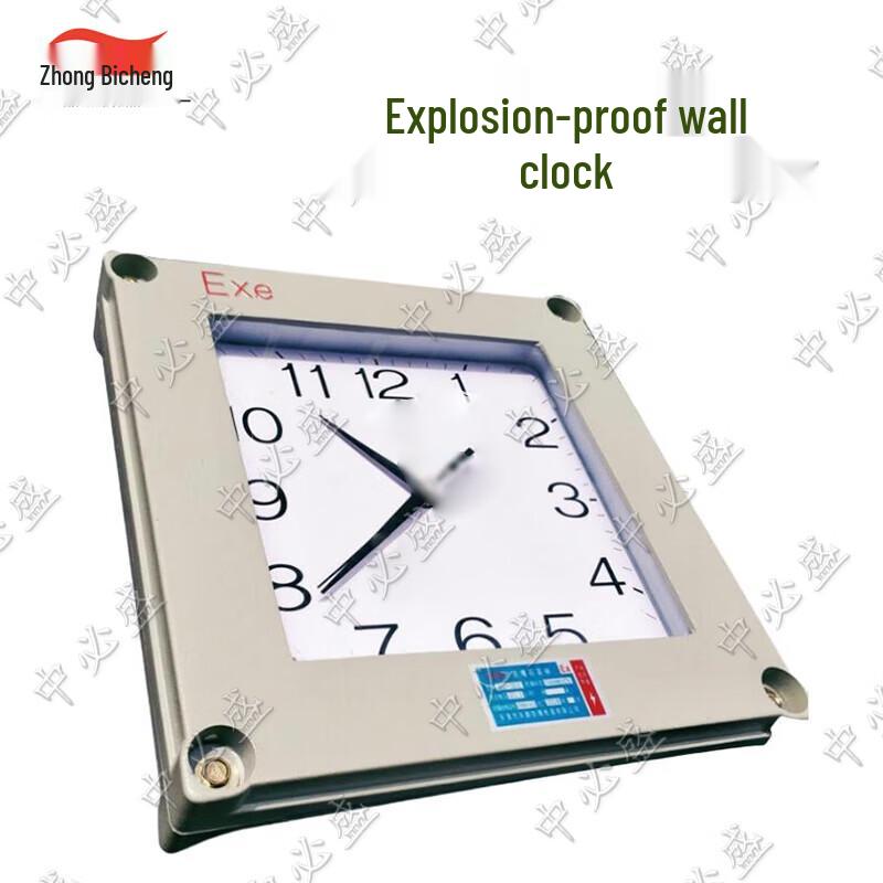 Zhongbisheng BSZ Explosion-Proof Quartz Wall Clock