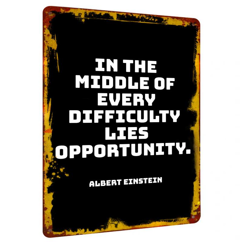 VintageInspirational Einstein Quote Metal Poster Home Office Decor Motivational Wall Art Vintage Metal Sign 20x30cm（7.8x11.8inch）