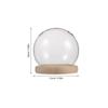 1 Set Round Glass Display Dome Cloche Wood Base Small For Preserved Flowers Figurines Decoration Transparent Dust-Proof Showcase