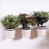 4/5/6/8 Inches Wall Mounted Flowerpot Bracket Planter Hanger Metal Hook Pot Tray Garden Planter Holder Ring Christmas Decoration