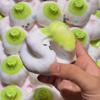 Handmade Crunchy Squishy Cute Garlic Stress Ball Squeeze Toy, Crispy Sound Squishy Fidget Ball, ASMR Sensory Stress Relief Toy