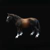 1Pc Children's Simulation Animal Toys Wildlife Model Set Solid Quarter Horse White Horse Black Horse Maxima Horse