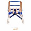 VidaXL Traîneau Pliable Bois Dossier 119 cm Luge Amateurs Neige Sports d'Hiver 91458