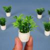 5pcs Plastic Simulation Vase Mini Green Luo Plant  Outdoor Doll House Model Accessories