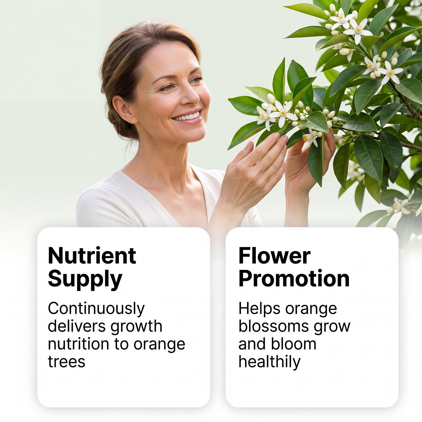 

Slow Release Orange Tree Food Fertilizer 100g Container Suitable for Citrus Trees Nutrient Supply for Healthy Growth and Fruit Development One Size зелений